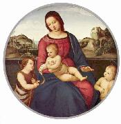 Madonna Terranuova, Szene: Maria mit Christuskind und zwei Heiligen, Tondo RAFFAELLO Sanzio
